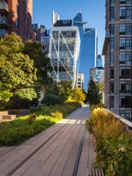 Unlocking Public-Private Partnerships to Help Support and Strengthen NYC’s Parks