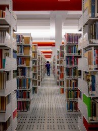 CUF Catalyzes New Investment in CUNY ACE