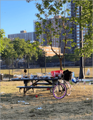 Making It Easier for New Yorkers to Care for Their Parks