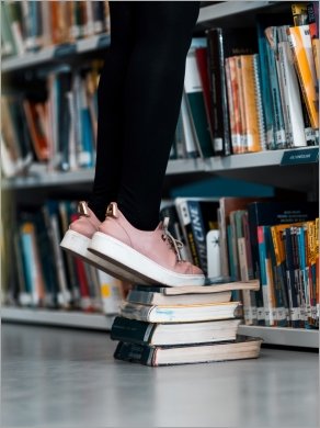 Branches of Recovery: Harnessing Public Libraries to Rebuild a More Equitable City