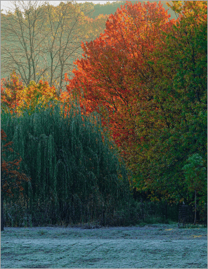 Strengthening Natural Areas to Tackle Unemployment and Climate Change